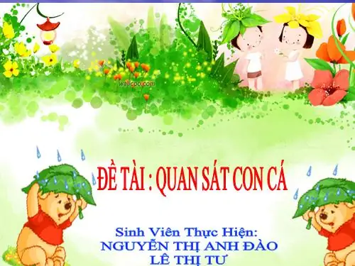 Hướng Dẫn Chi Tiết Cách Quan Sát Con Cá Hiệu Quả Nhất