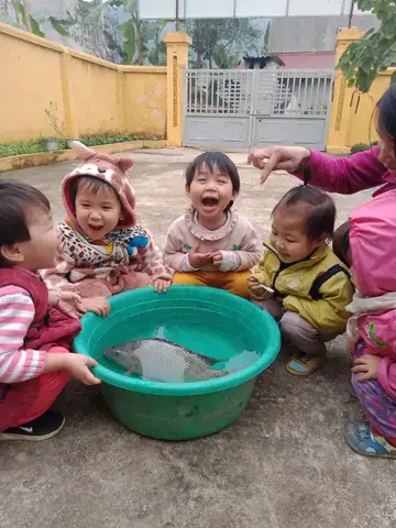 Hướng Dẫn Chi Tiết Cách Quan Sát Con Cá Hiệu Quả Nhất