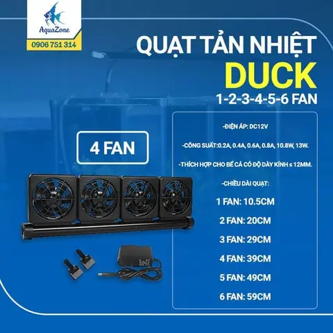 Quạt Cho Bể Cá: Hướng Dẫn Chọn Lựa Và Sử Dụng Hiệu Quả