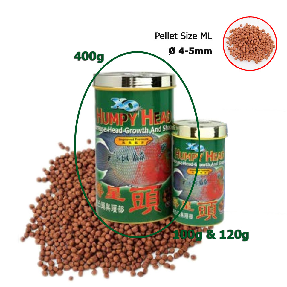 Sản phẩm thức ăn XO Humpy Head đặc biệt cho cá La Hán kích thích đầu gù
