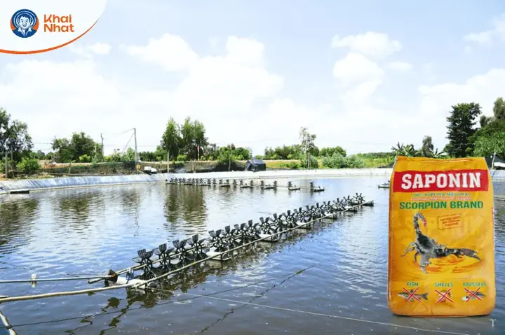 Saponin Diệt Cá Tạp: Hiểu Rõ Về Cơ Chế Và Ứng Dụng Hiệu Quả