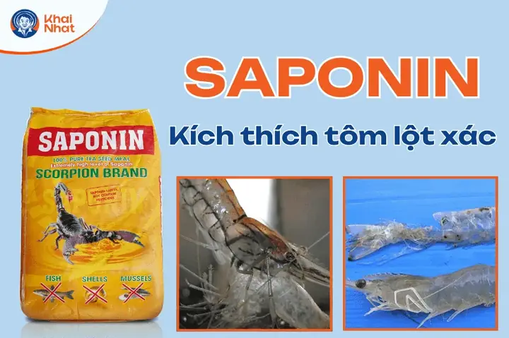 Saponin Diệt Cá Tạp: Hiểu Rõ Về Cơ Chế Và Ứng Dụng Hiệu Quả