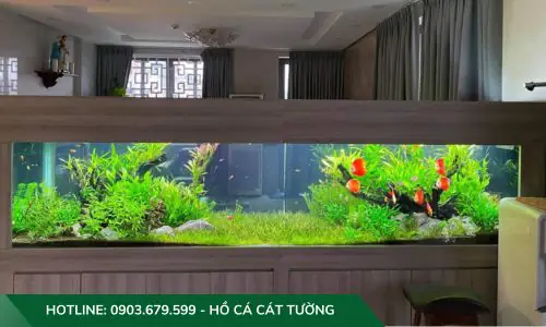 setup hồ cá thuỷ sinh setup hồ cá thuỷ sinh