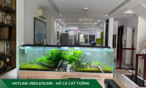 setup hồ cá thuỷ sinh setup hồ cá thuỷ sinh