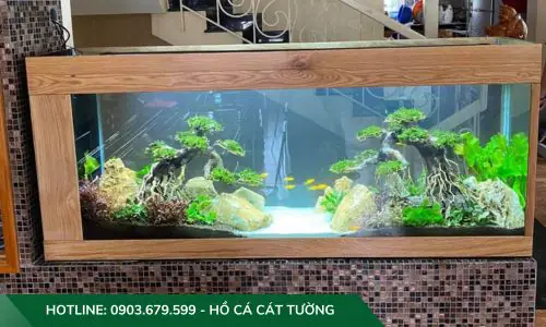 setup hồ cá thuỷ sinh setup hồ cá thuỷ sinh