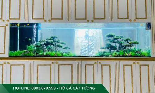 setup hồ cá thuỷ sinh setup hồ cá thuỷ sinh