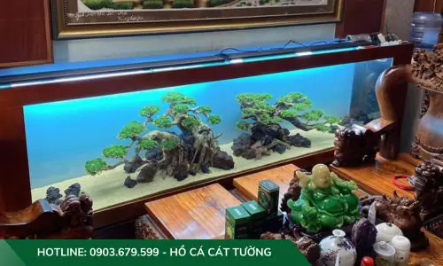 setup hồ cá thuỷ sinh setup hồ cá thuỷ sinh