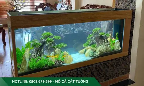 setup hồ cá thuỷ sinh setup hồ cá thuỷ sinh