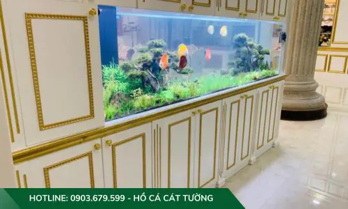 setup hồ cá thuỷ sinh setup hồ cá thuỷ sinh