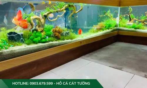 setup hồ cá thuỷ sinh setup hồ cá thuỷ sinh