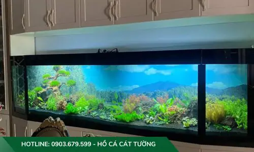 setup hồ cá thuỷ sinh setup hồ cá thuỷ sinh