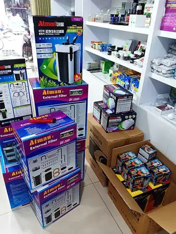 Kinh Nghiệm Chọn Shop Cá Săn Mồi Uy Tín Cho Người Mới