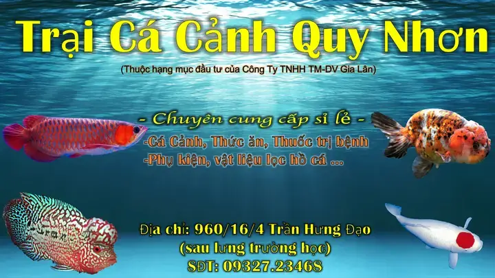 Kinh Nghiệm Chọn Shop Cá Săn Mồi Uy Tín Cho Người Mới
