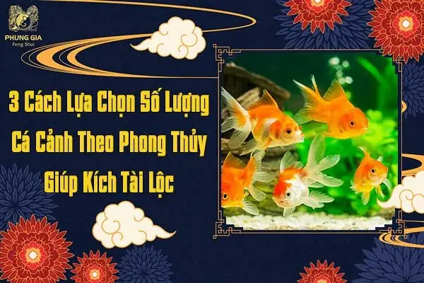 3 Cách Lựa Chọn Số Lượng Cá Cảnh Theo Phong Thủy Giúp Kích Tài Lộc 3 Cách Lựa Chọn Số Lượng Cá Cảnh Theo Phong Thủy Giúp Kích Tài Lộc