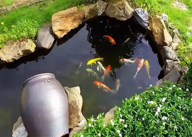 2.4 Số lượng cá dựa trên vị trí, hướng đặt bể cá
