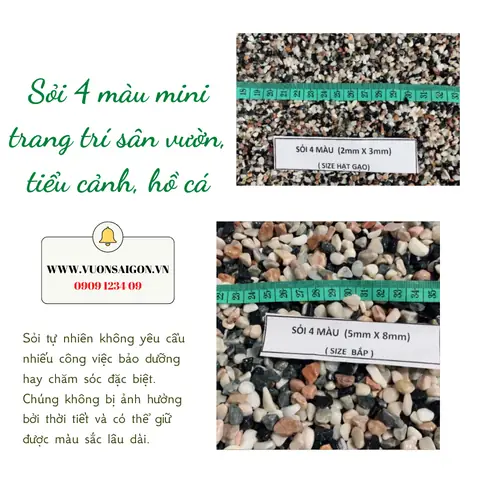 Sỏi Màu Hồ Cá: Hướng Dẫn Sử Dụng Để Trang Trí Và Chăm Sóc
