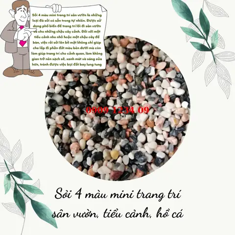Sỏi Màu Hồ Cá: Hướng Dẫn Sử Dụng Để Trang Trí Và Chăm Sóc