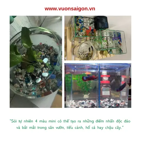 Sỏi Màu Hồ Cá: Hướng Dẫn Sử Dụng Để Trang Trí Và Chăm Sóc