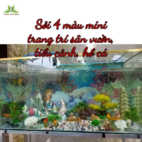 Sỏi Màu Hồ Cá: Hướng Dẫn Sử Dụng Để Trang Trí Và Chăm Sóc