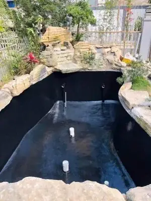 sơn chống thấm hồ cá
