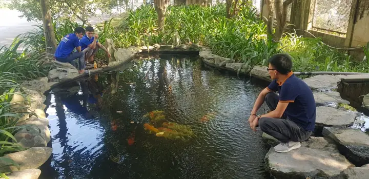 1. Tại sao cần phải chống thấm cho hồ cá Koi?