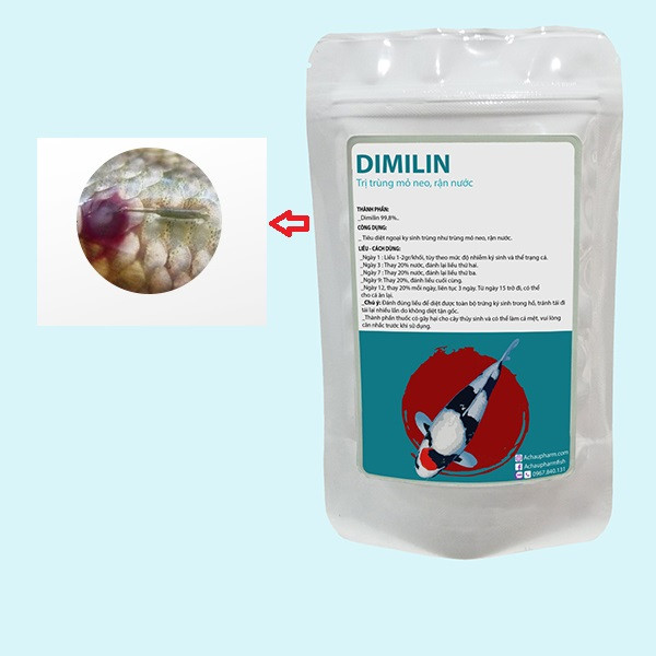 Sử dụng thuốc Dimilin để điều trị bệnh trùng mỏ neo cá bảy màu hiệu quả
