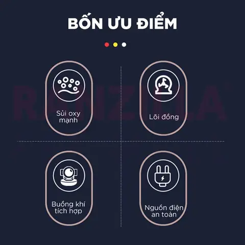 sục bể cá mini