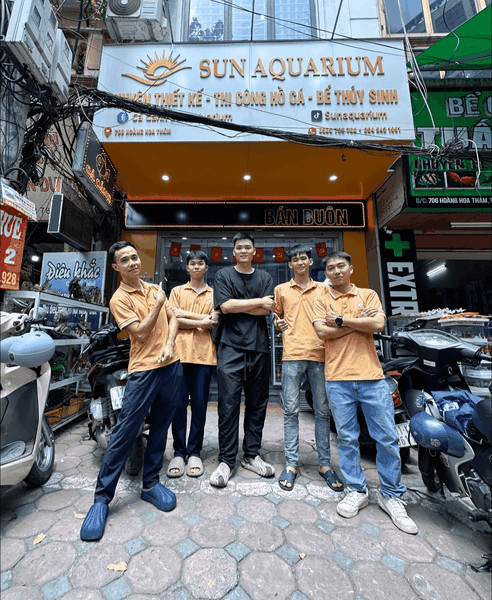 Sun Aquarium, cửa hàng cá cảnh tại Hà Nội chuyên cung cấp cá cảnh và cây thủy sinh