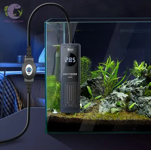 Sưởi Bể Cá 300W: Hướng Dẫn Chọn Và Sử Dụng Đúng Cách?