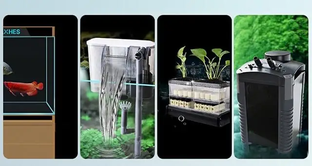 Sưởi Bể Cá Loại Nào Tốt? Hướng Dẫn Chọn Thiết Bị Tối Ưu