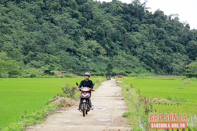 Suối Cá Bản Bướt: Khám Phá Vẻ Đẹp Và Giá Trị Sinh Thái
