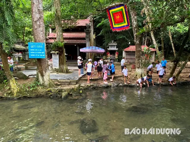 suối cá thần thanh hóa