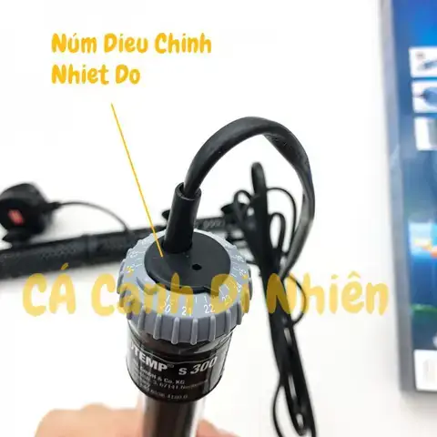 Sưởi cho Cá Rồng: Hướng Dẫn Chi Tiết Chọn và Sử Dụng Hiệu Quả