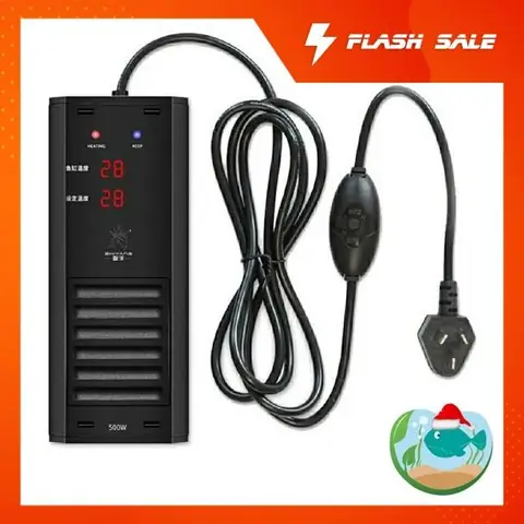 Sưởi cho Cá Rồng: Hướng Dẫn Chi Tiết Chọn và Sử Dụng Hiệu Quả