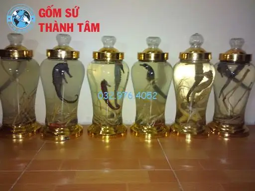 Cá Ngựa Ngâm Rượu Có Tác Dụng Gì? Lợi Ích Sức Khỏe Toàn Diện & Lưu Ý