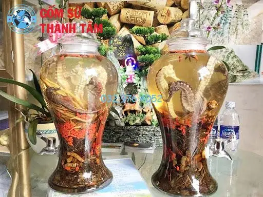 Cá Ngựa Ngâm Rượu Có Tác Dụng Gì? Lợi Ích Sức Khỏe Toàn Diện & Lưu Ý