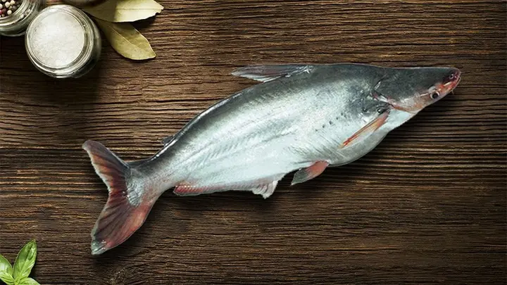 Tác dụng của Cá Basa: Lợi ích dinh dưỡng và sức khỏe chi tiết