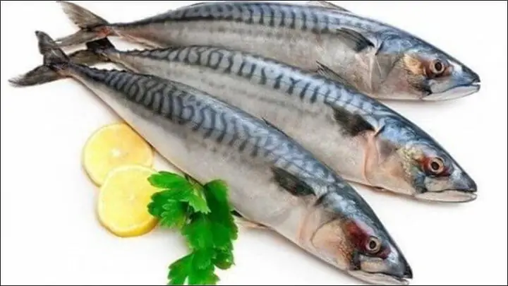 Tác dụng của cá thu: 12 Lợi ích Sức khỏe Toàn diện Từ Biển Cả