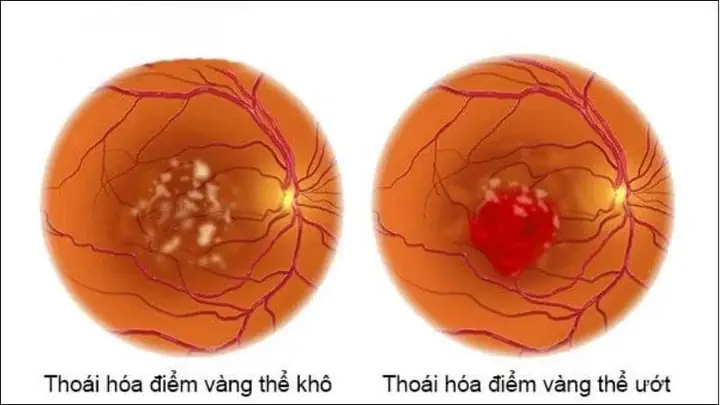 Tác dụng của cá thu: 12 Lợi ích Sức khỏe Toàn diện Từ Biển Cả