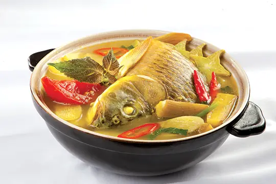 Tác Hại Của Cá Chép: Phân Tích Toàn Diện Về Ảnh Hưởng Môi Trường Và Nông Nghiệp