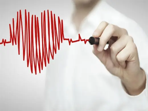 Tác Hại Của Cá Thu: Những Rủi Ro Cần Cảnh Giác Tác Hại Của Cá Thu: Những Rủi Ro Cần Cảnh Giác