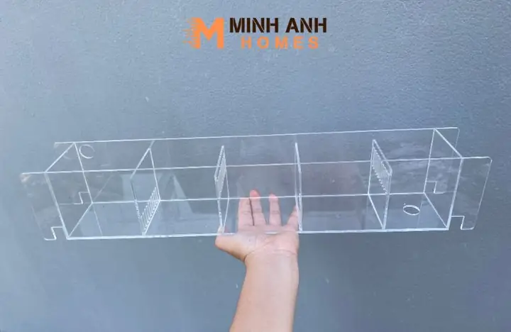 Tấm Nhựa Ngăn Bể Cá Là Gì? Hướng Dẫn Chọn & Lắp Đặt Hiệu Quả