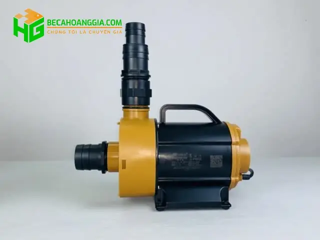 Hướng dẫn chi tiết cách tạo thác nước trong hồ cá cảnh