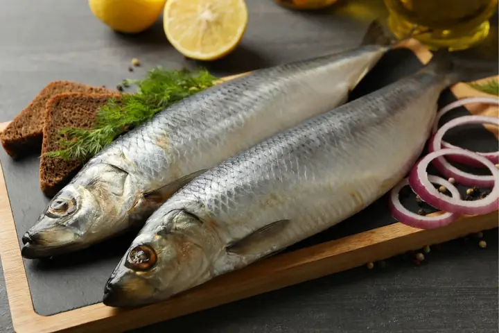 Tổng Hợp: Các Loài Cá Nước Ngọt Phổ Biến & Đặc Điểm Tổng Hợp: Các Loài Cá Nước Ngọt Phổ Biến & Đặc Điểm