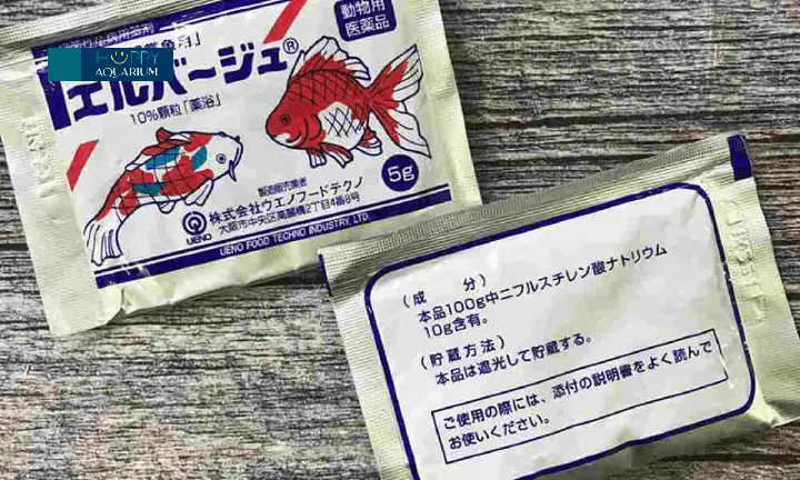 Tetracyclin cho cá rồng: Hướng dẫn điều trị bệnh hiệu quả