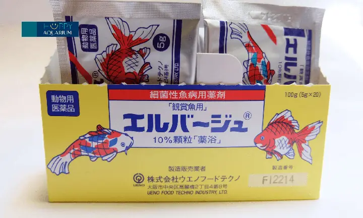 Tetracyclin cho cá rồng: Hướng dẫn điều trị bệnh hiệu quả