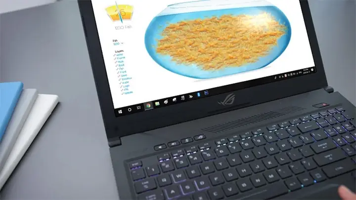 thả cá test máy