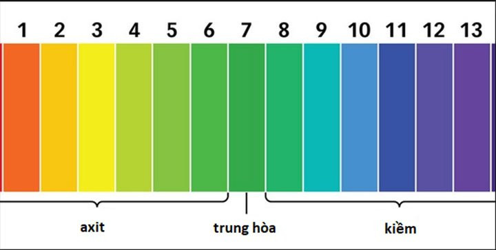 Thang đo pH cho bể cá