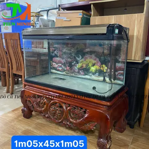 Hướng Dẫn Chi Tiết Thanh Lý Chân Hồ Cá Hiệu Quả và Nhanh Chóng