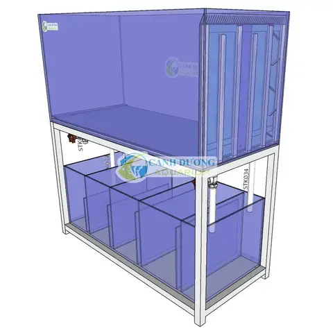 Có Nên Mua Thanh Lý Hồ Cá Công Nghệ Mới? Hướng Dẫn Toàn Diện